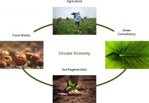 circular economy new